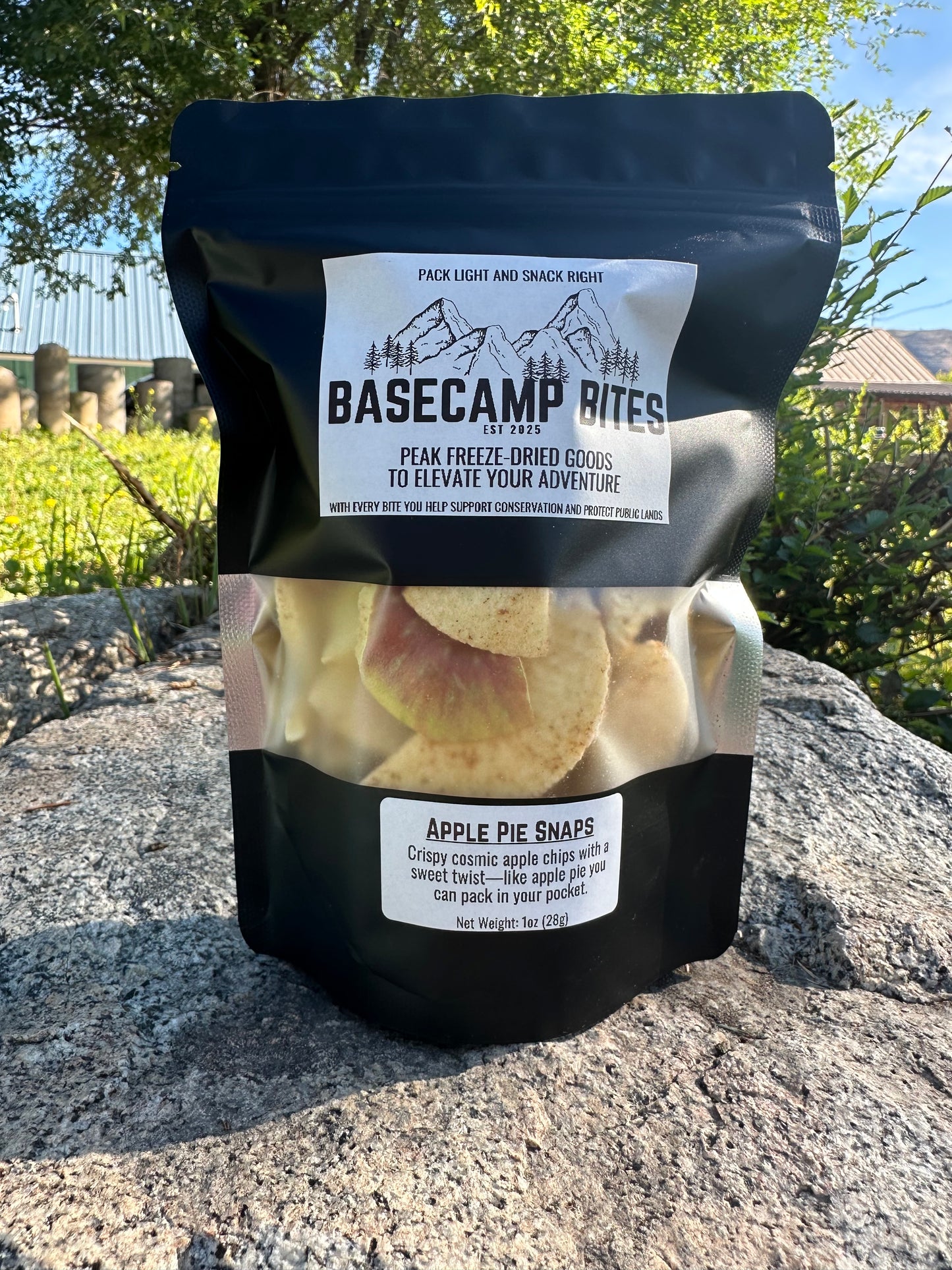 Apple Pie Snaps