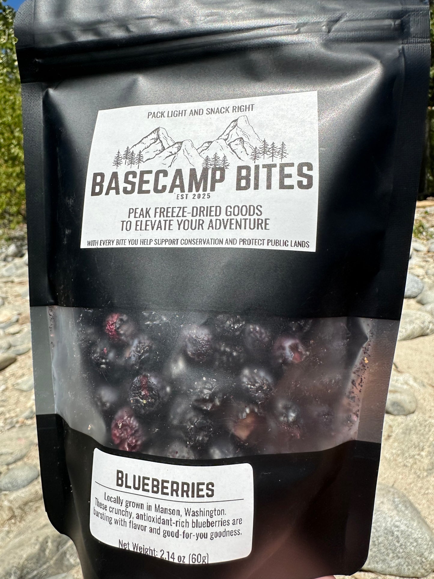 Blueberries